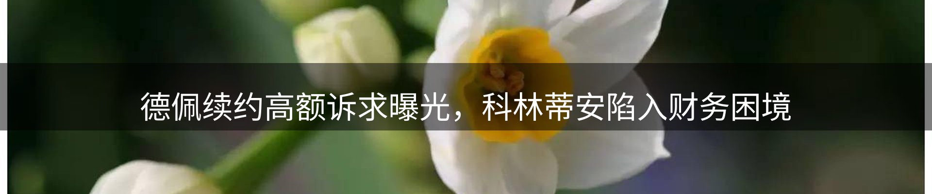 网站资讯