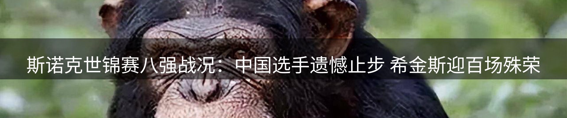 焦点阵地