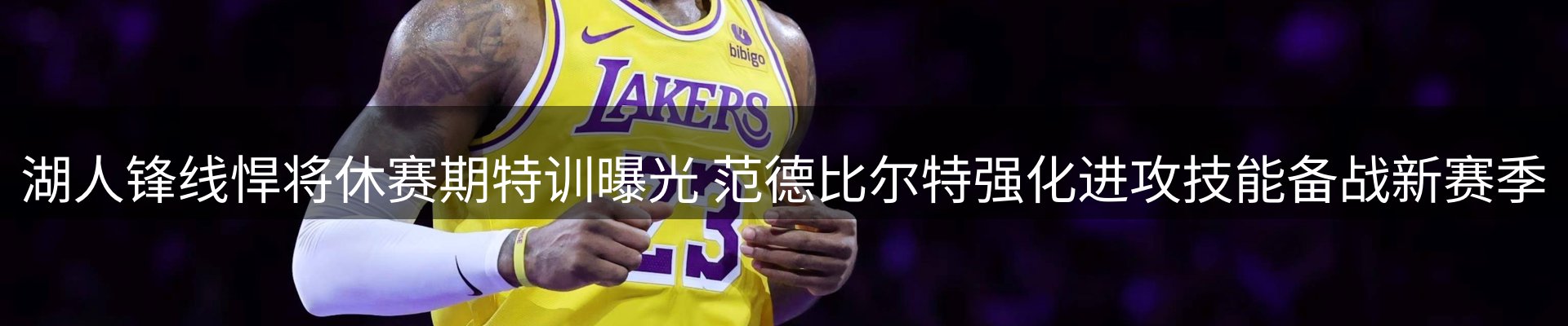 网站资讯