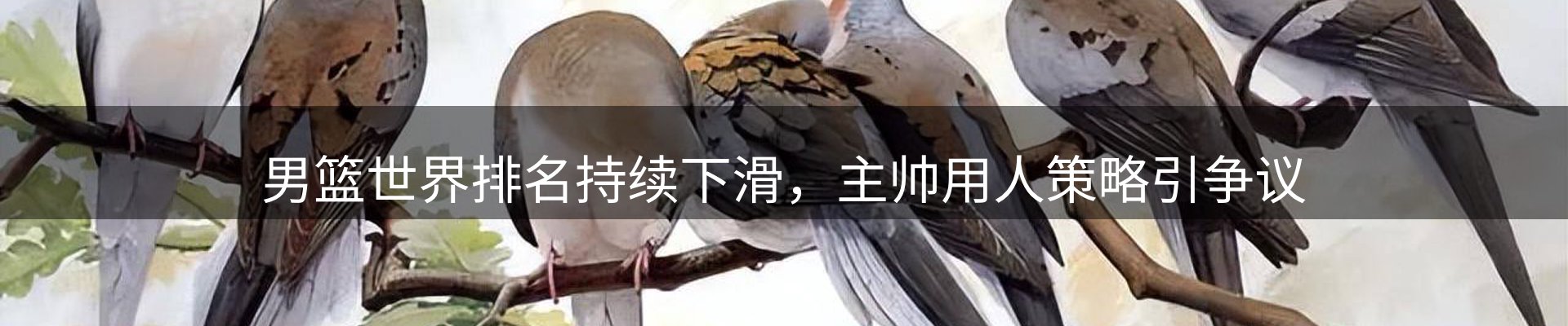 网站资讯