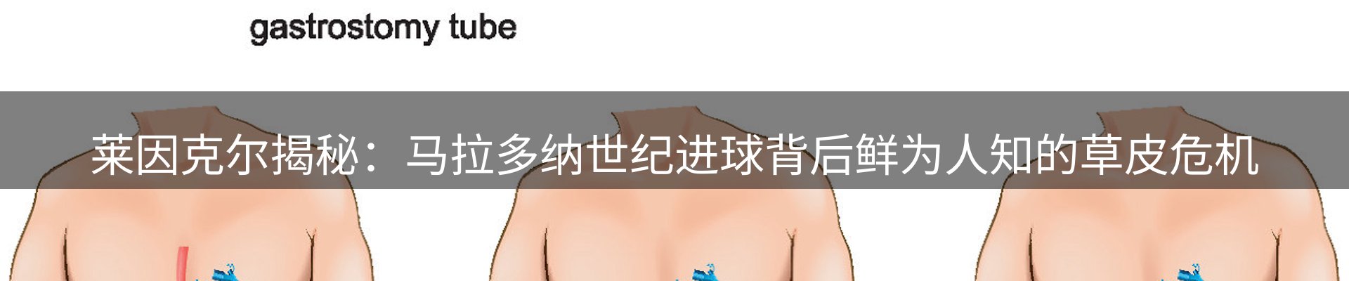 网站资讯