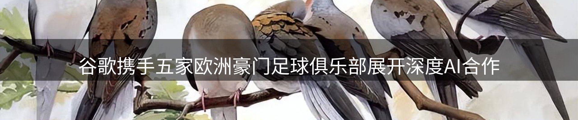 焦点阵地