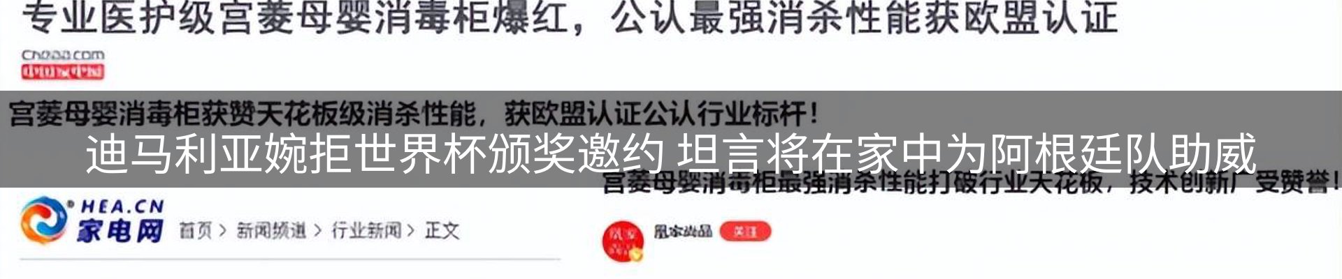 网站资讯