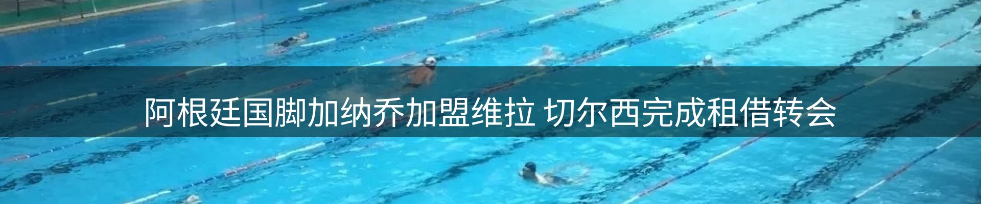 网站资讯