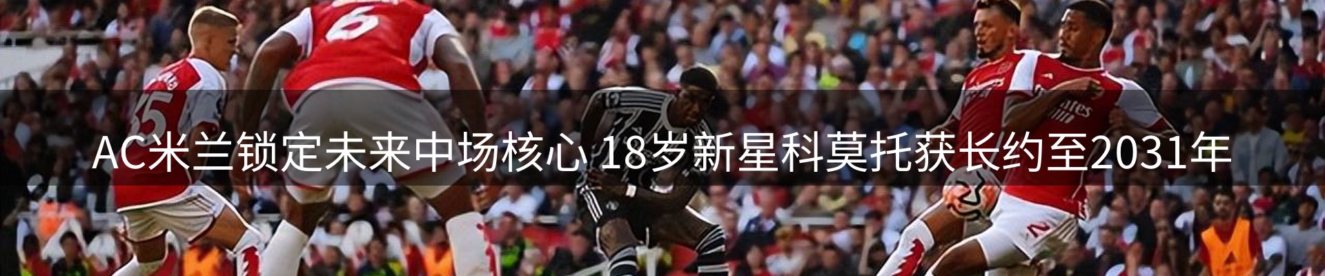 网站资讯