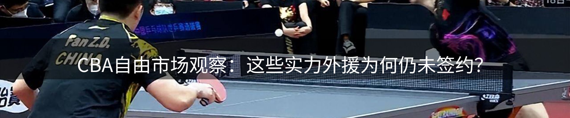 网站资讯