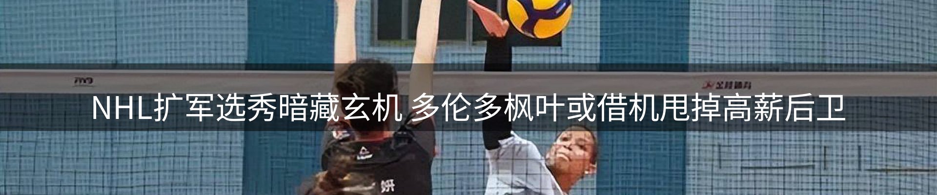 网站资讯
